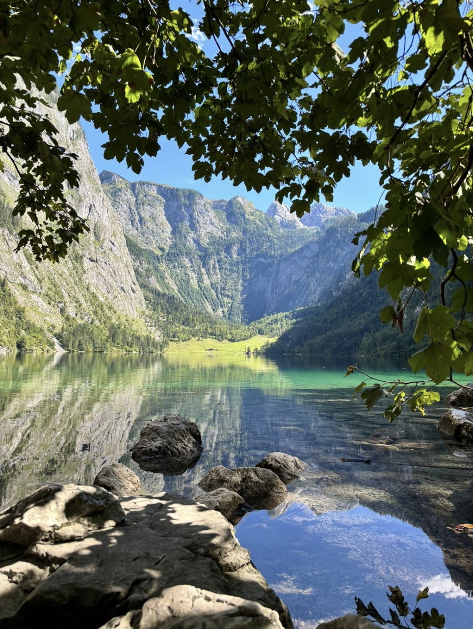 Mountain lake with rocky shore, tree branches, and cliff reflections in clear turquoise water