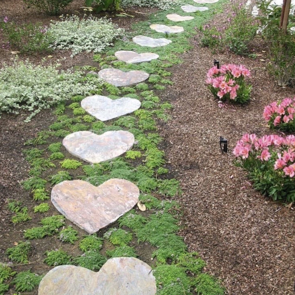 Heart-shaped stepping stones on a garden path with moss and pink flowers