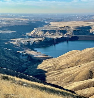 Aerial view of Lucky Peak Dam and reservoir among dry golden hills