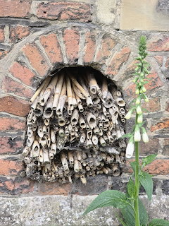 Old Bug Hotel