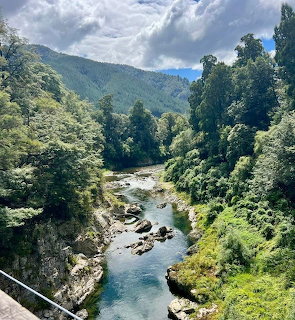 Forest River Valley
