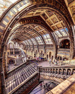 Ornate vaulted ceiling and arched interior of Natural History Museum London with visitors below