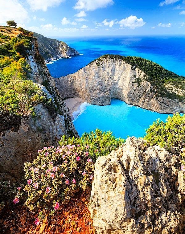 Clifftop view of a turquoise cove with rocky cliffs, blue sea, and flowering shrubs