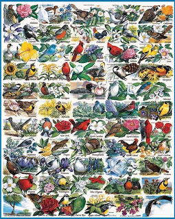 Dense collage of vintage bird and flower illustrations in various colors arranged in rows
