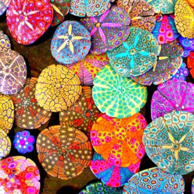 Colorful Sea Urchins