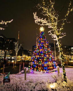 Christmas tree made of whiskey barrels with colorful lights in a snowy town square at night