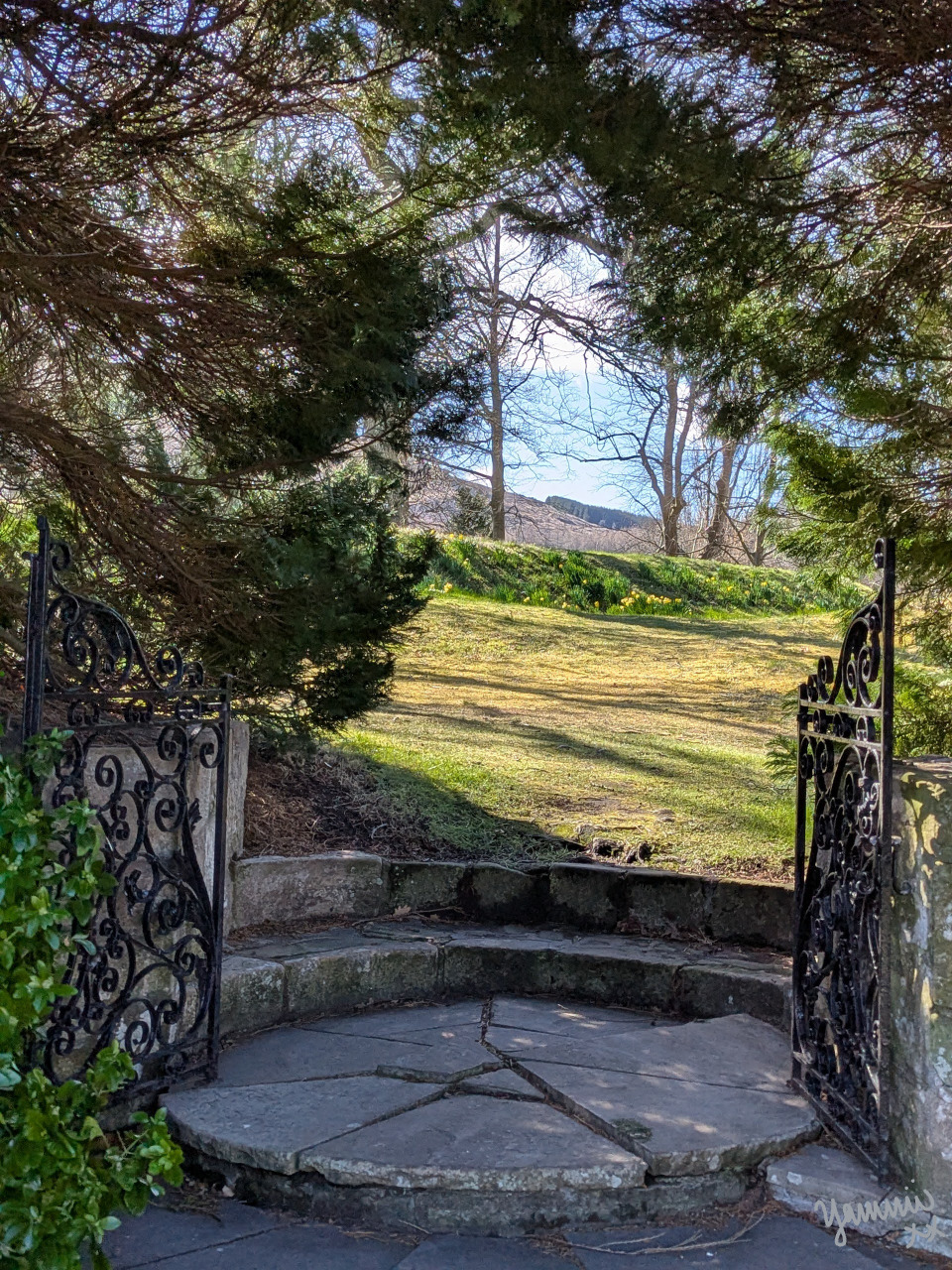 Ornate wrought iron gate leading to green lawns and trees at Falkland Palace grounds, Scotland