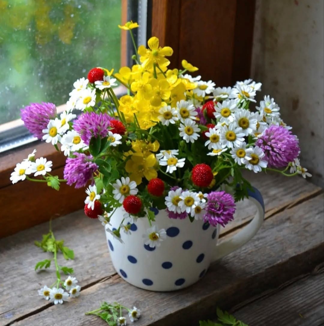 Bouquet of mixed flowers in a white polka dot pitcher on a wooden windowsill