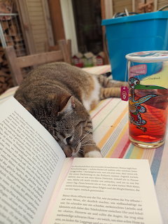 Gray tabby cat with nose close to open book pages beside colorful drinking glass on table