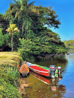 Two colorful boats mored on a calm river with tropical palm trees and lush greenery