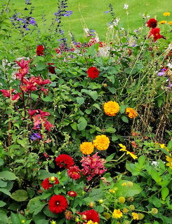 Colorful Autumn Flower Garden