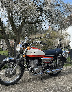 Blue and orange Suzuki T500 vintage motorcycle parked outdoors under flowering tree