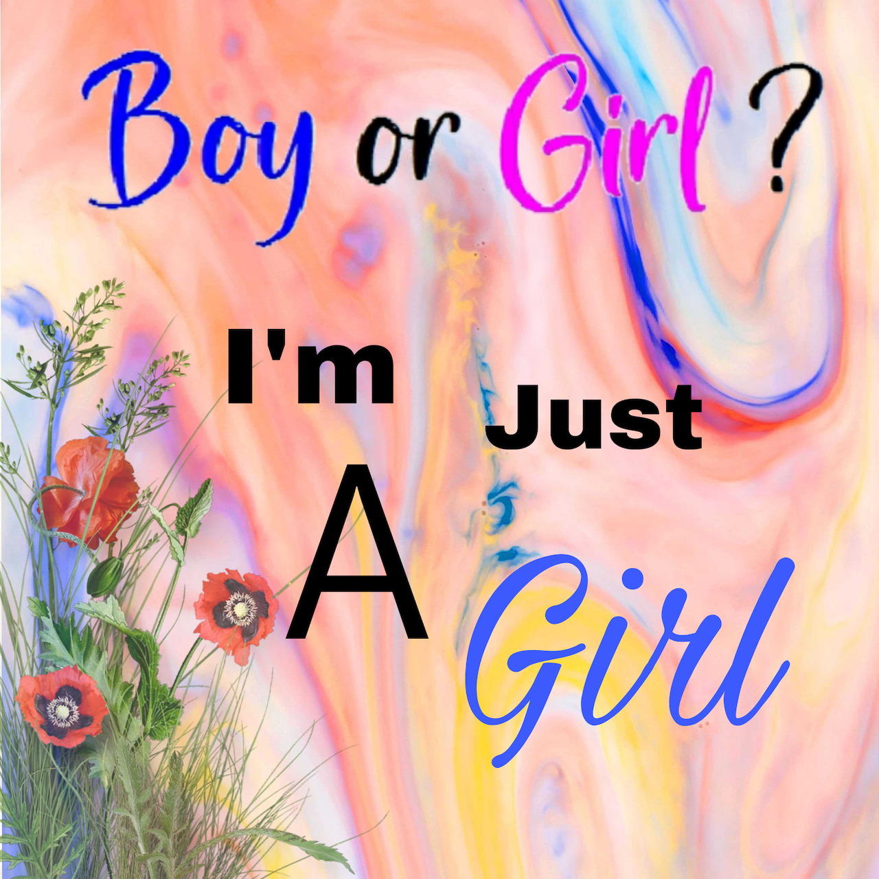 Text graphic reading "Boy or Girl? I'm Just A Girl" on a pastel abstract background with flowers