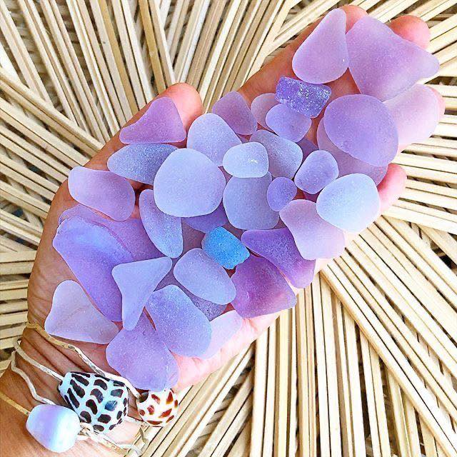 Purple succulent plant with heart-shaped leaves on woven straw background
