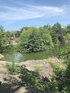 View from rocky outcrop overlooking a green pond surrounded by dense trees in Central Park