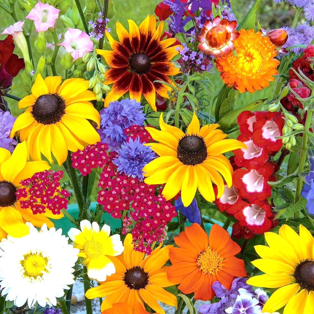 Dense arrangement of colorful garden flowers including sunflowers, daisies, and purple blooms