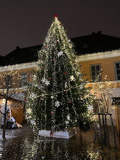 Tall Christmas tree with white lights in front of illuminated yellow building at night