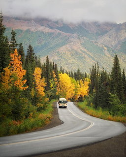 Curved road through Denali National Park with fall colors and mountain backdrop