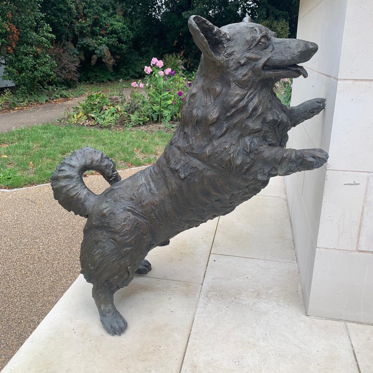 Bronze statue of a corgi dog leaping playfully against a white pillar in a garden setting