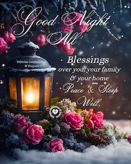 Glowing lantern with pink roses on snow at night with Good Night blessings text