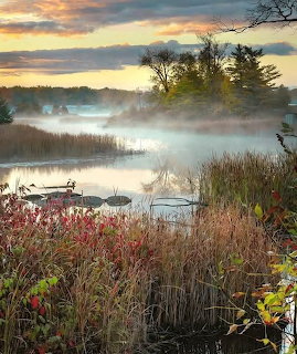 Misty sunrise over a calm lake with autumn vegetation and fog rising from the water