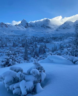 Snow-covered mountains with frosted pine trees and deep snow in a winter valley landscape