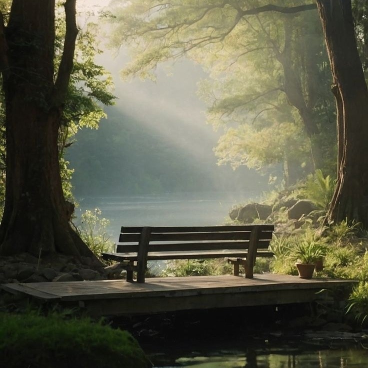 Misty Forest Bench Scene