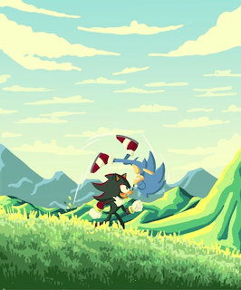 Shadow and Sonic Duo