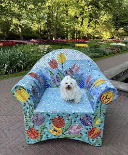 Dog on Mosaic Garden Chair