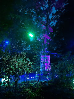 Lights in Asås Night Garden