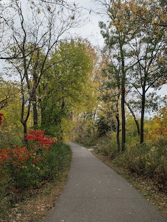 Autumn Trail Through Trees