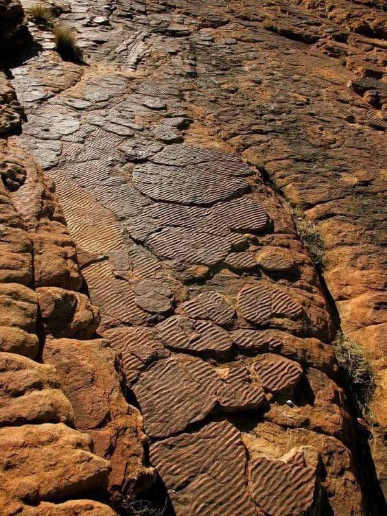 Textured red sandstone rock formations with geometric patterns at Kings Canyon, Australia