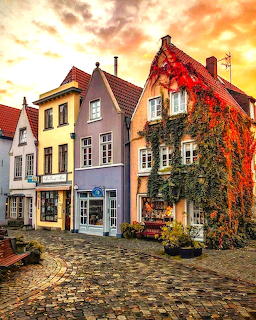 Colorful old village houses along a curved cobblestone street, one covered in red ivy