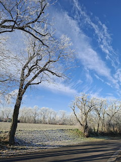 Frost-covered bare trees along a road on a cold winter morning with blue sky and wispy clouds