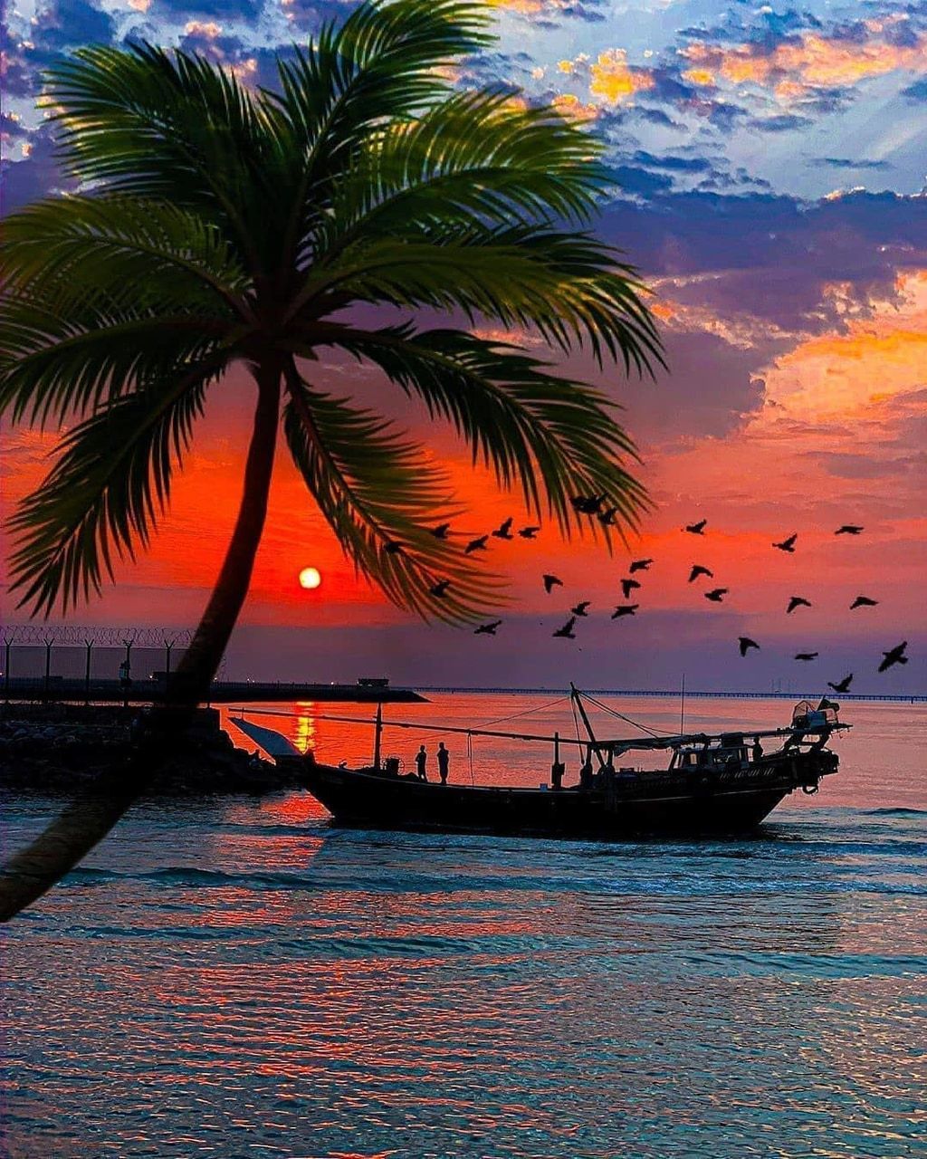 Palm Tree Sunset Boat