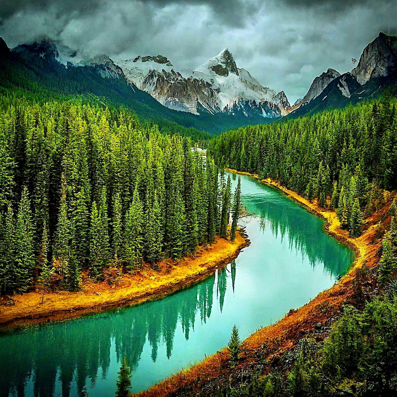 Aerial view of a turquoise river curving through green pine forest with mountains and storm clouds above