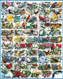 State Birds Collage