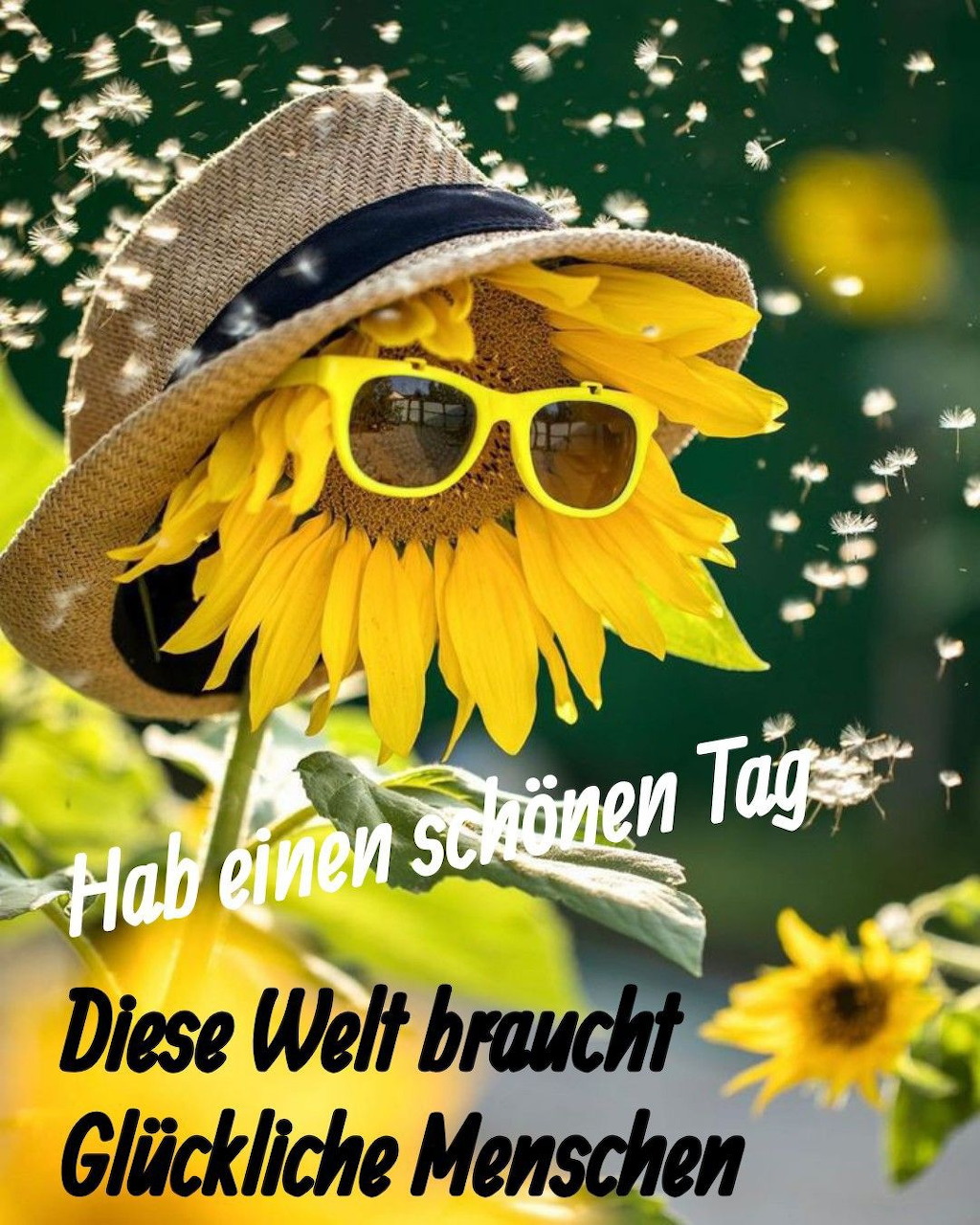 Sunflower decorated with straw hat and sunglasses against green bokeh background with German text