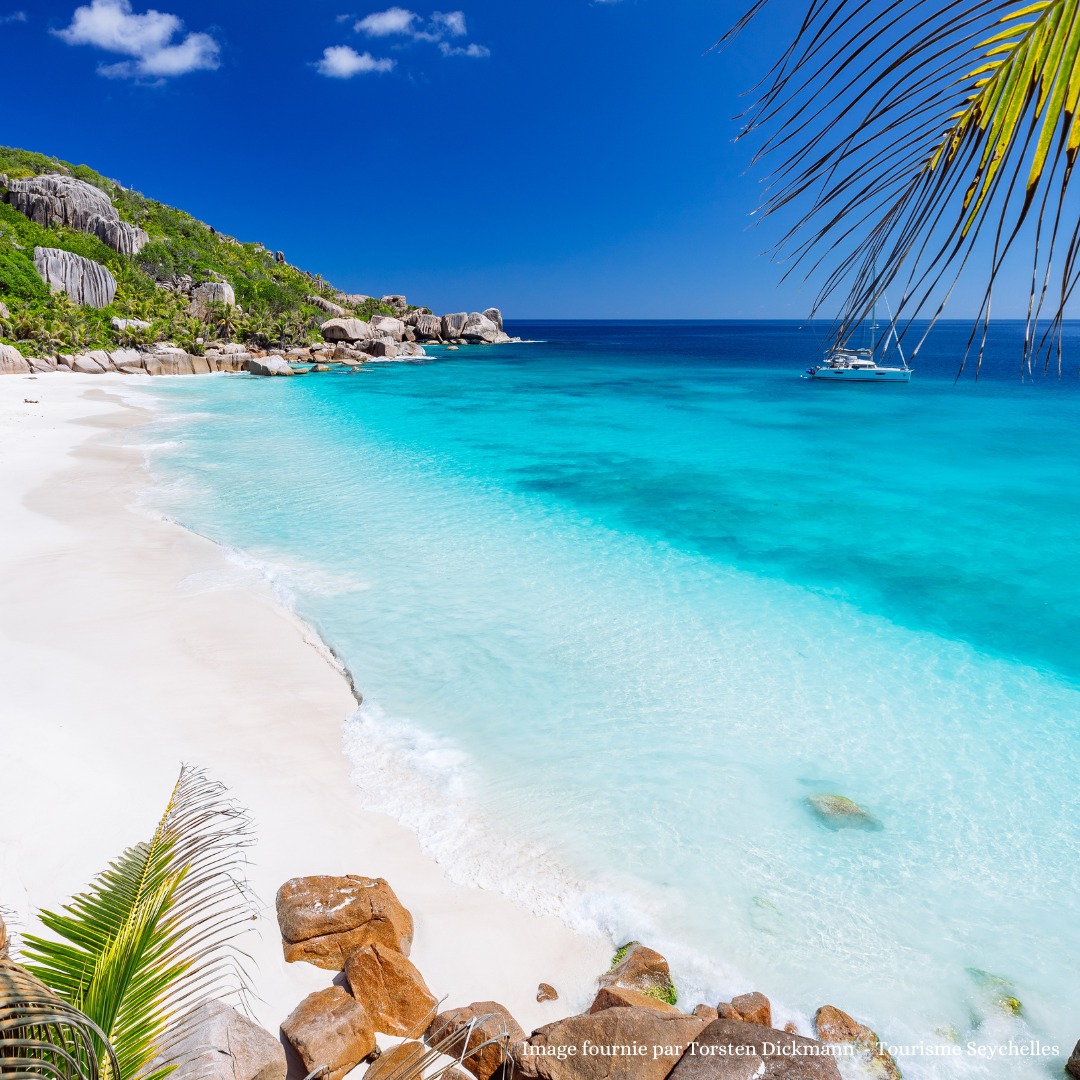 Tropical beach with white sand, turquoise sea, palm leaves, rocks, and a sailboat