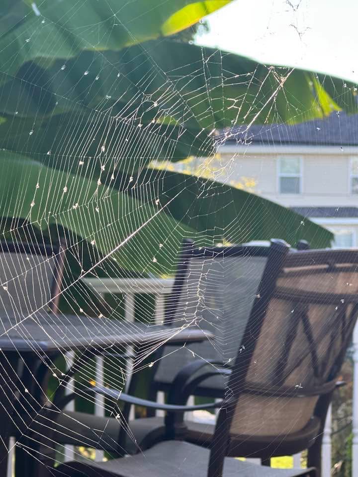 Detailed spider web with water droplets on outdoor patio furniture