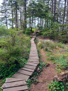 Wooden Walkway To the Coast