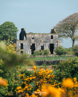 Abandoned Stone Cottage Ruins
