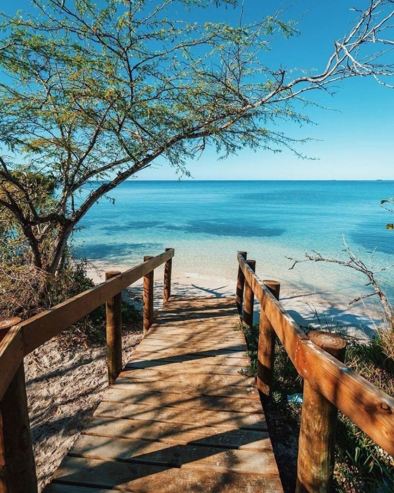 Wooden boardwalk path leading to turquoise ocean beach with tree and blue sky