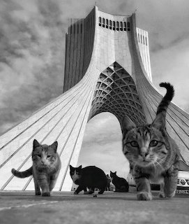 Black and white photo of several cats posing in front of the Azadi Tower in Tehran, Iran