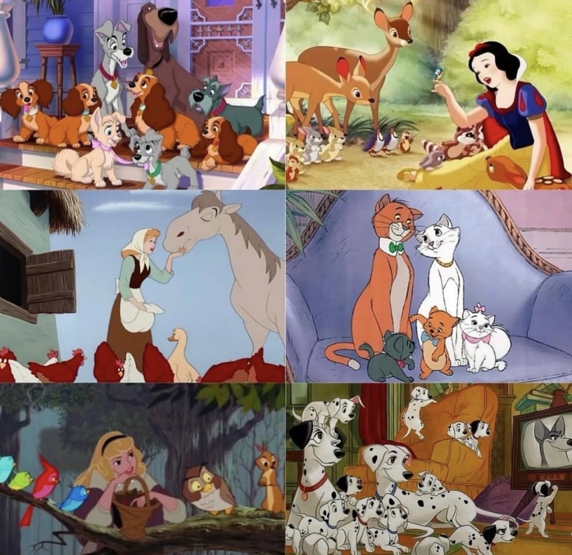 Collage of Disney-style cartoon animal scenes with puppies, kittens, deer, horses and forest animals