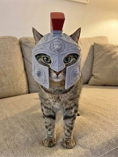 Roman Centurion Kitty Helmet