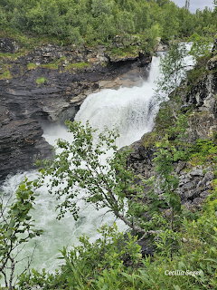 Waterfall flowing through rocky cliff surrounded by green trees and vegetation