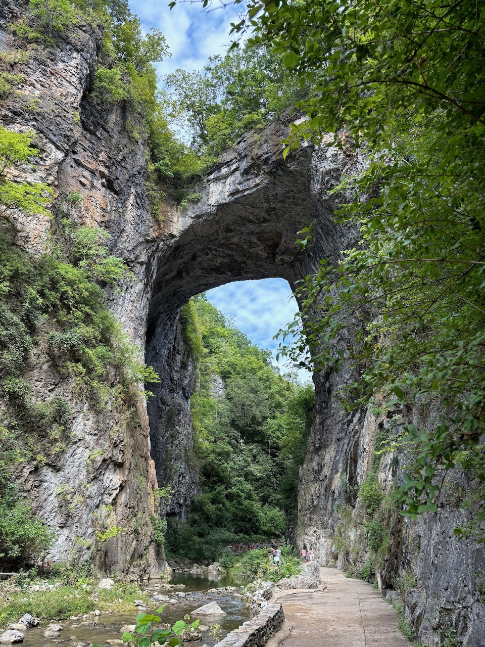 Tall natural limestone arch bridge over a forested gorge with a stream