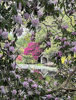 Garden scene with pink and purple flowers framing a view through trees to a white building