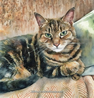 Tabby cat with green eyes lying down, looking at camera